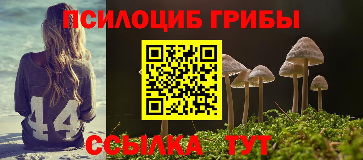 Псилоцибиновые грибы MAGIC MUSHROOMS  Вход с VPN  Псилоцибиновые грибы Cubensis  Калининград 